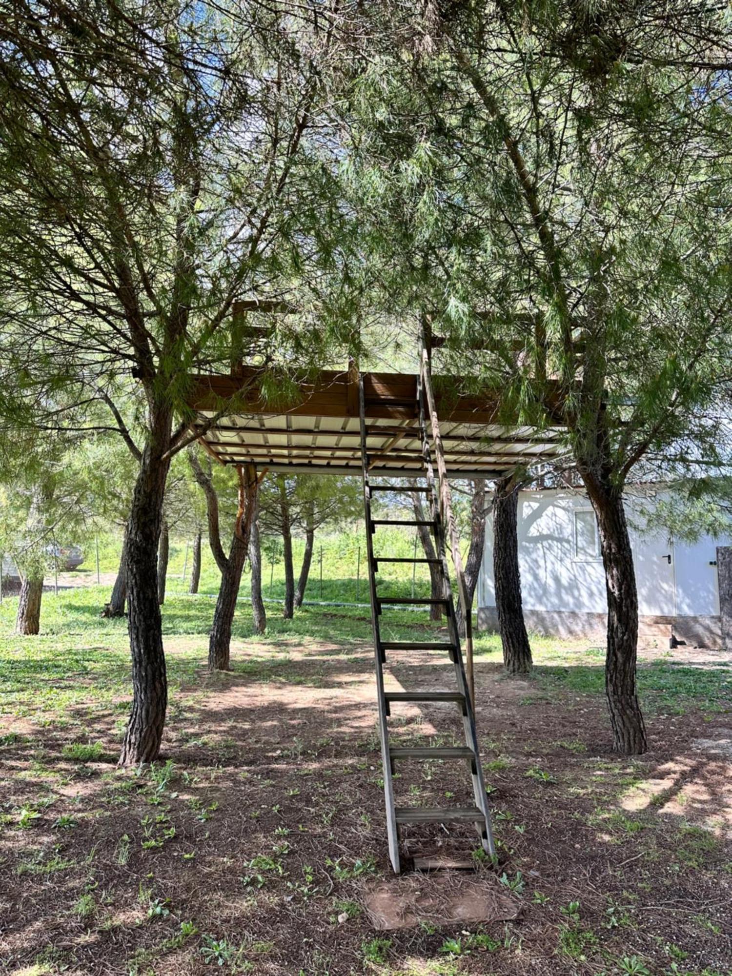 Bungalow Bambolera Torrelaguna Kültér fotó