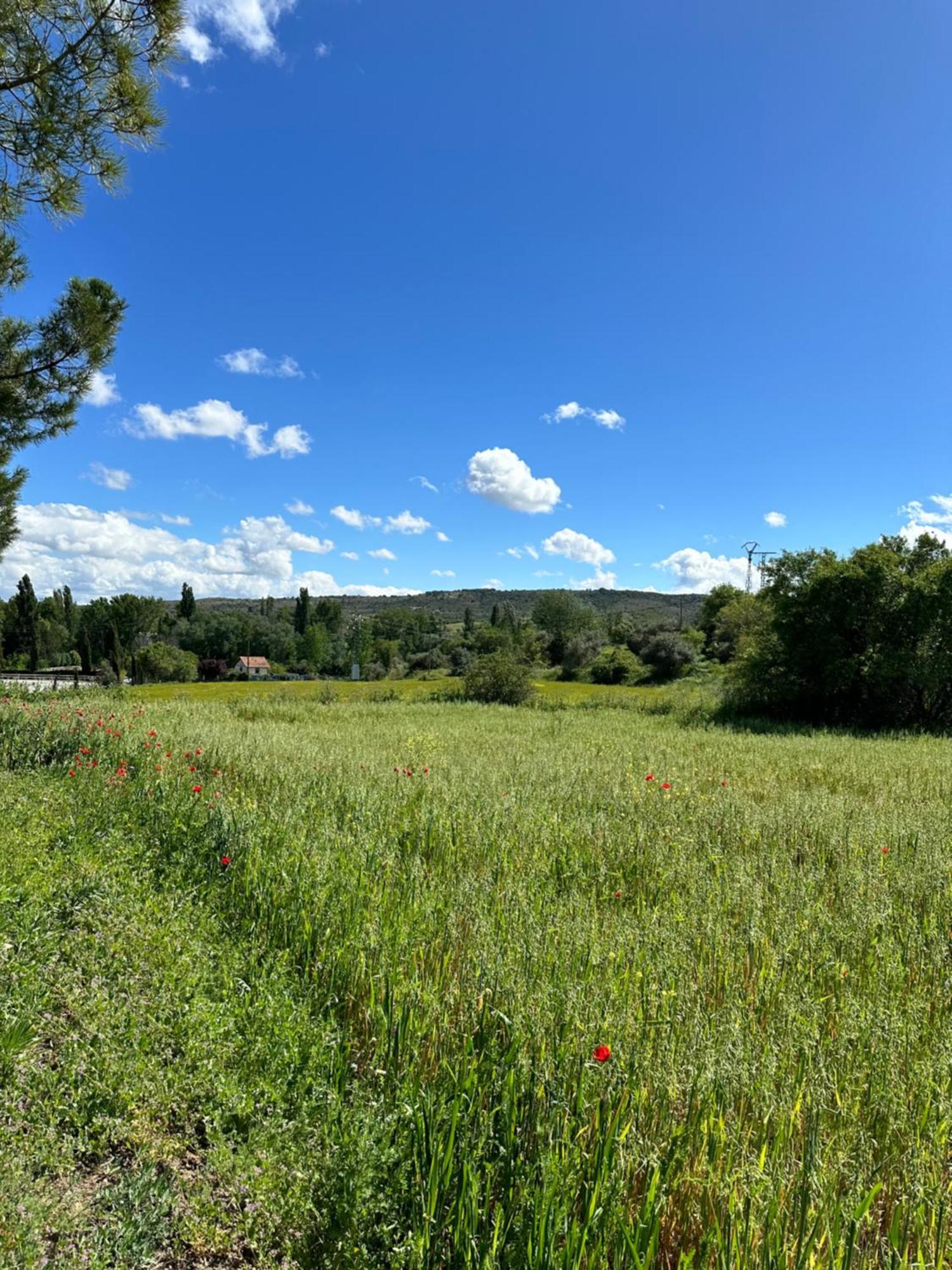 Bungalow Bambolera Torrelaguna Kültér fotó