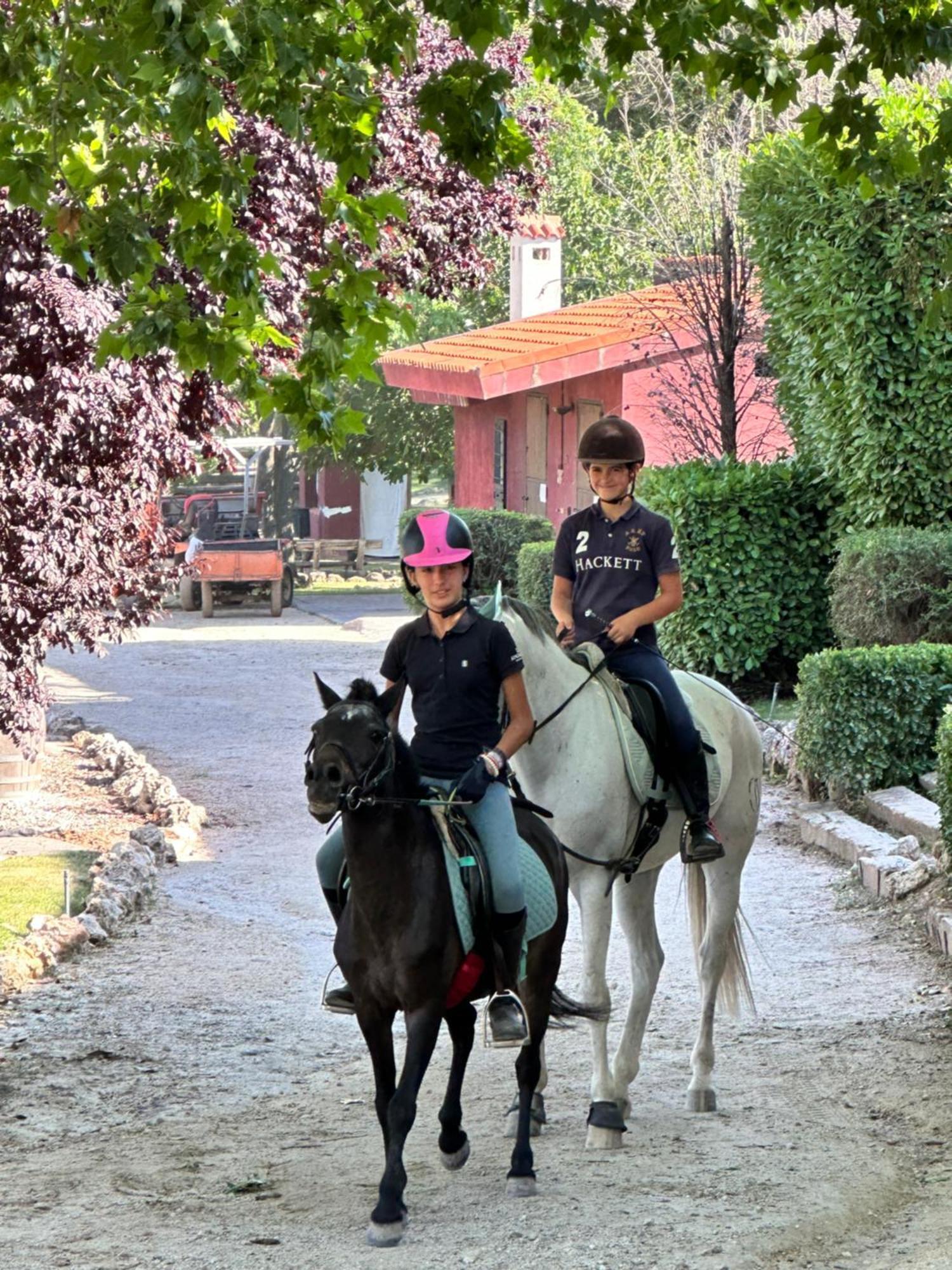 Bungalow Bambolera Torrelaguna Kültér fotó