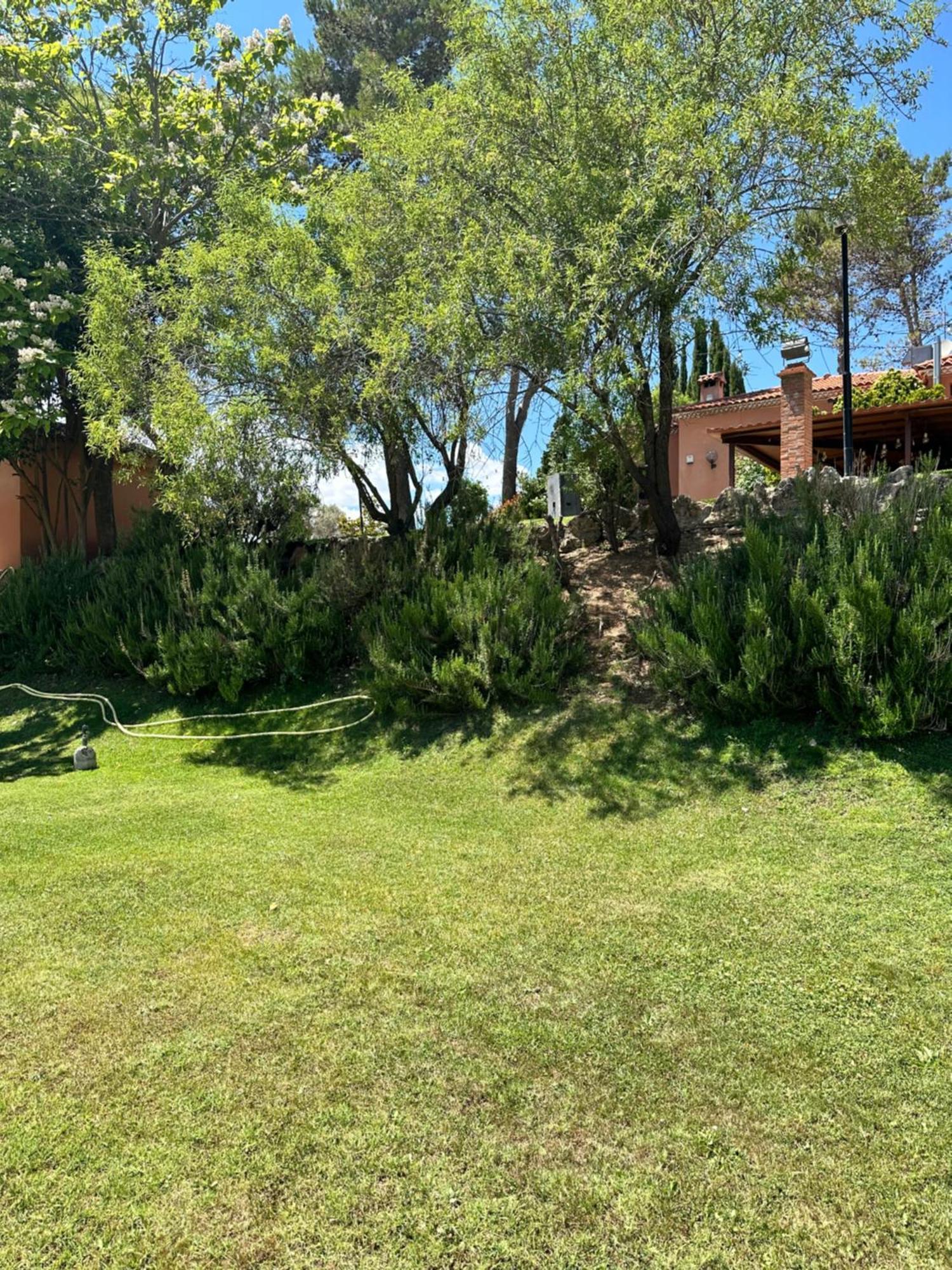 Bungalow Bambolera Torrelaguna Kültér fotó